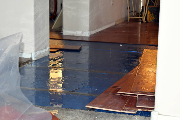 Professional Flood Damage Repair technician working in Woodburn, IN